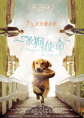 九九老司机在线视频精品